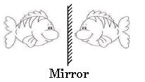 ""CRO-Mock-test-Class-3-Logical-Reasoning-Set-A-15