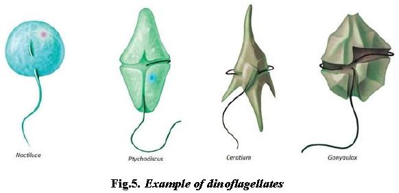 ""NEET-Biology-Biological-Classification-Notes-4