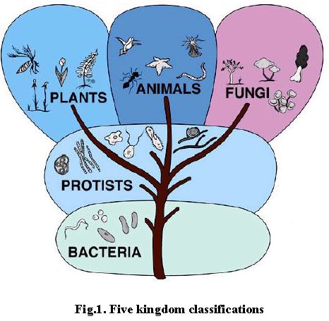 ""NEET-Biology-Biological-Classification-Notes