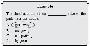 ""CBSE-Class-10-English-IEO-Olympiad-MCQs-with-Answers-Set-A