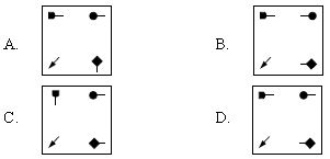 ""CBSE-Class-10-Science-NSO-Olympiad-MCQs-with-Answers-Set-F-10