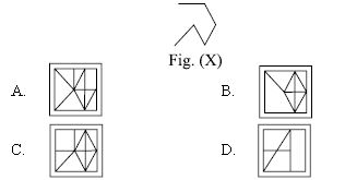 ""CBSE-Class-10-Science-NSO-Olympiad-MCQs-with-Answers-Set-H-10