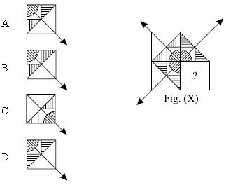 ""CBSE-Class-10-Science-NSO-Olympiad-MCQs-with-Answers-Set-H-14