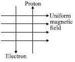 ""CBSE-Class-10-Science-NSO-Olympiad-MCQs-with-Answers-Set-H-18