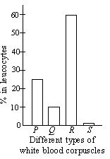 ""CBSE-Class-10-Science-NSO-Olympiad-MCQs-with-Answers-Set-H-3