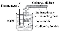 ""CBSE-Class-10-Science-NSO-Olympiad-MCQs-with-Answers-Set-H-7