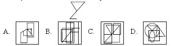 ""CBSE-Class-10-Science-NSO-Olympiad-MCQs-with-Answers-Set-J-13