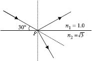 ""CBSE-Class-10-Science-NSO-Olympiad-MCQs-with-Answers-Set-J-21