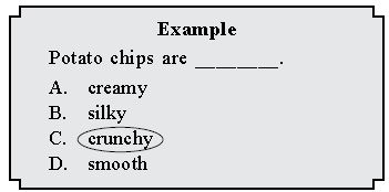 ""CBSE-Class-5-English-IEO-Olympiad-MCQs-with-Answers-Set-E