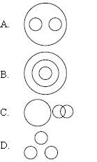 ""CBSE-Class-5-Mathematics-IMO-Olympiad-MCQs-with-Answers-Set-C-1