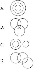 ""CBSE-Class-5-Mathematics-IMO-Olympiad-MCQs-with-Answers-Set-F-5