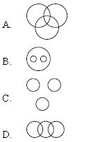 ""CBSE-Class-5-Mathematics-IMO-Olympiad-MCQs-with-Answers-Set-I-10