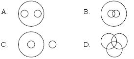 ""CBSE-Class-5-Mathematics-IMO-Olympiad-MCQs-with-Answers-Set-J-8