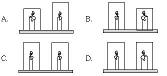 ""CBSE-Class-5-Science-NSO-Olympiad-MCQs-with-Answers-Set-D-22