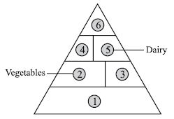 ""CBSE-Class-5-Science-NSO-Olympiad-MCQs-with-Answers-Set-D-25