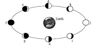 ""CBSE-Class-5-Science-NSO-Olympiad-MCQs-with-Answers-Set-D-30