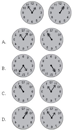 ""CBSE-Class-5-Science-NSO-Olympiad-MCQs-with-Answers-Set-D-7