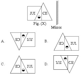 ""CBSE-Class-5-Science-NSO-Olympiad-MCQs-with-Answers-Set-E-4