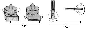 ""CBSE-Class-5-Science-NSO-Olympiad-MCQs-with-Answers-Set-F-24