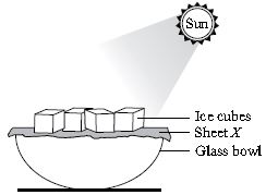 ""CBSE-Class-5-Science-NSO-Olympiad-MCQs-with-Answers-Set-F-8