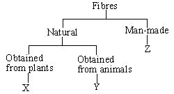 ""CBSE-Class-5-Science-NSO-Olympiad-MCQs-with-Answers-Set-I-7