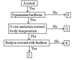 ""CBSE-Class-5-Science-NSO-Olympiad-MCQs-with-Answers-Set-I-8