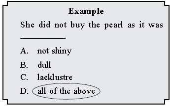 ""CBSE-Class-6-English-IEO-Olympiad-MCQs-with-Answers-Set-B-2