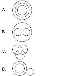 ""CBSE-Class-6-Mathematics-IMO-Olympiad-MCQs-with-Answers-Set-C-11