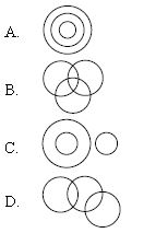 ""CBSE-Class-6-Mathematics-IMO-Olympiad-MCQs-with-Answers-Set-D-5