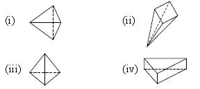 ""CBSE-Class-6-Mathematics-IMO-Olympiad-MCQs-with-Answers-Set-G-17