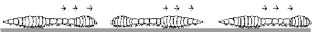 ""CBSE-Class-6-Science-Body-Movements-Worksheet-Set-A-2