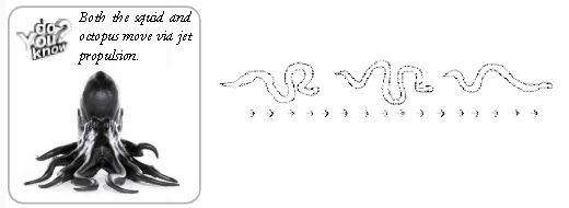 ""CBSE-Class-6-Science-Body-Movements-Worksheet-Set-A