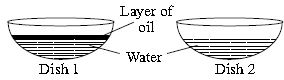 ""CBSE-Class-6-Science-NSO-Olympiad-MCQs-with-Answers-Set-C-12