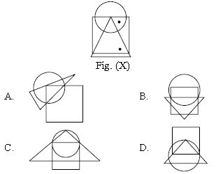 ""CBSE-Class-6-Science-NSO-Olympiad-MCQs-with-Answers-Set-C-2