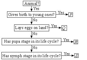 ""CBSE-Class-6-Science-NSO-Olympiad-MCQs-with-Answers-Set-C-20