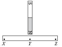 ""CBSE-Class-6-Science-NSO-Olympiad-MCQs-with-Answers-Set-C-9