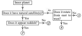 ""CBSE-Class-6-Science-NSO-Olympiad-MCQs-with-Answers-Set-E-11