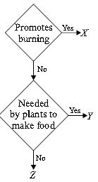 ""CBSE-Class-6-Science-NSO-Olympiad-MCQs-with-Answers-Set-E-20