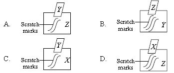 ""CBSE-Class-6-Science-NSO-Olympiad-MCQs-with-Answers-Set-E-22