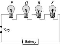 ""CBSE-Class-6-Science-NSO-Olympiad-MCQs-with-Answers-Set-E-23