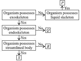 ""CBSE-Class-6-Science-NSO-Olympiad-MCQs-with-Answers-Set-F-22