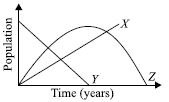 ""CBSE-Class-6-Science-NSO-Olympiad-MCQs-with-Answers-Set-F-24