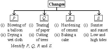 ""CBSE-Class-6-Science-NSO-Olympiad-MCQs-with-Answers-Set-F-25