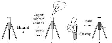 ""CBSE-Class-6-Science-NSO-Olympiad-MCQs-with-Answers-Set-G-21