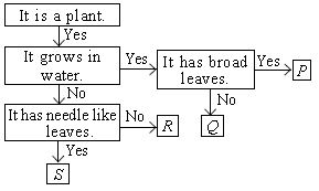 ""CBSE-Class-6-Science-NSO-Olympiad-MCQs-with-Answers-Set-I-18