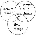 ""CBSE-Class-6-Science-NSO-Olympiad-MCQs-with-Answers-Set-J-12