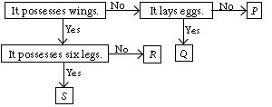 ""CBSE-Class-6-Science-NSO-Olympiad-MCQs-with-Answers-Set-J-2