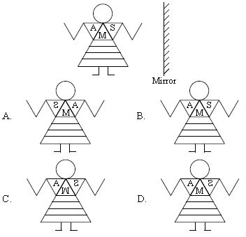 ""CBSE-Class-6-Science-NSO-Olympiad-MCQs-with-Answers-Set-J-22