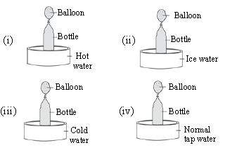 ""CBSE-Class-6-Science-NSO-Olympiad-MCQs-with-Answers-Set-J-3