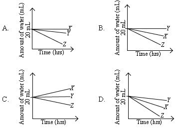 ""CBSE-Class-6-Science-NSO-Olympiad-MCQs-with-Answers-Set-J